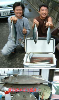 �P�L���̃T�o